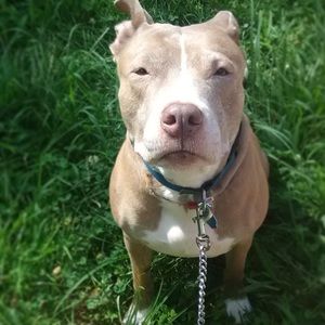 Meet your Posher, Lee